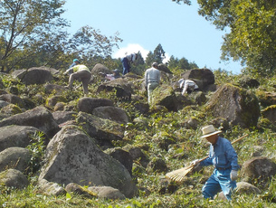 コミスポくすのき