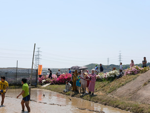 コミスポくすのき