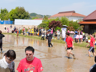 コミスポくすのき