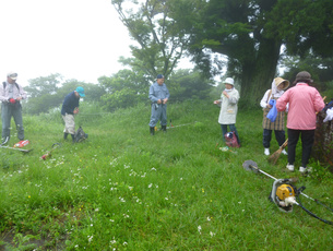 コミスポくすのき