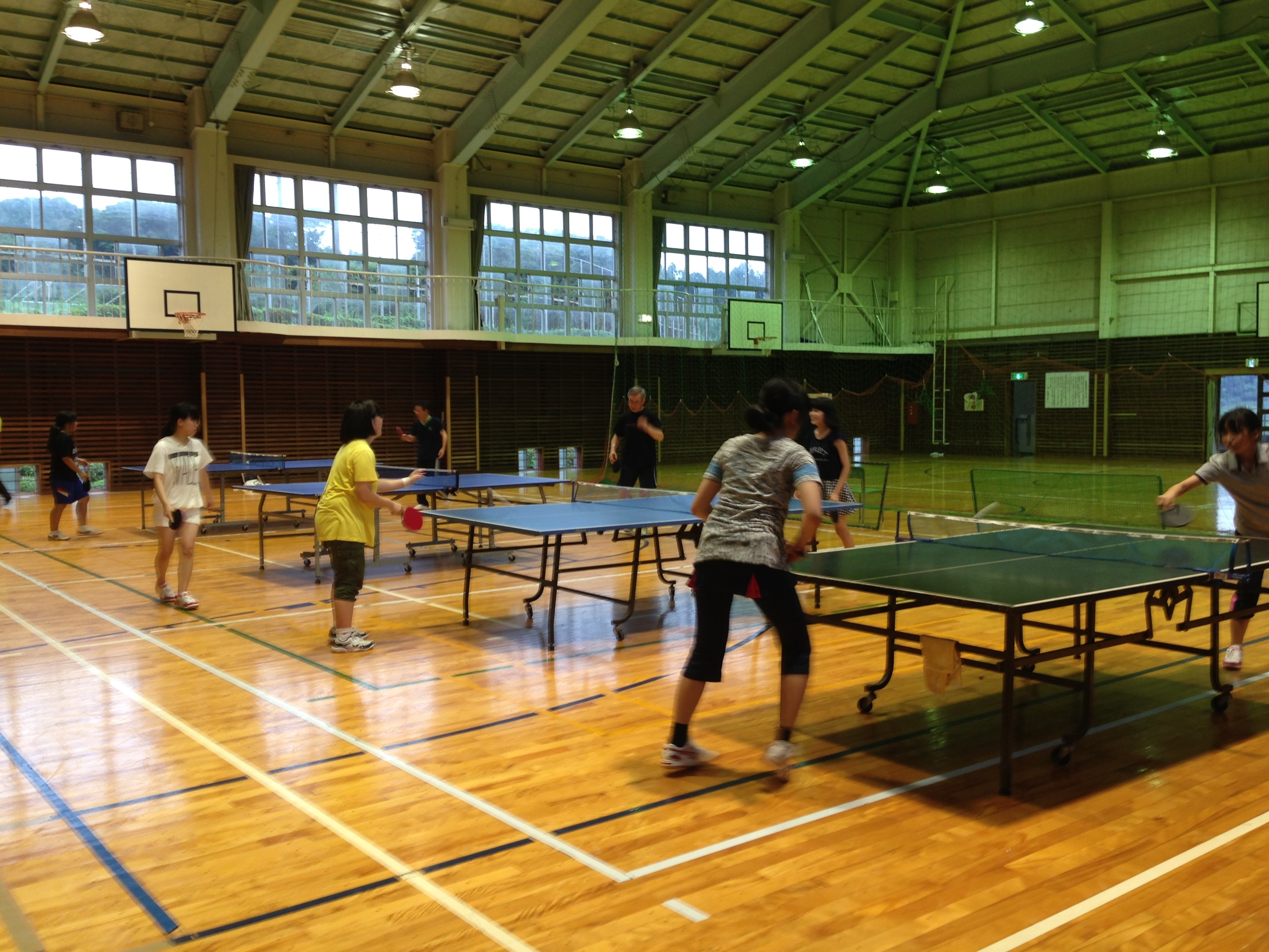 ニュースポーツ部会